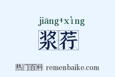 浆荇是什么意思的图片